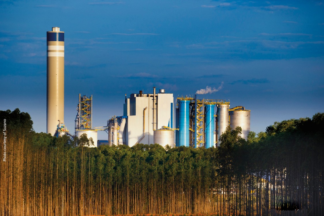 sustainable pulp plant Suzano, Brazil